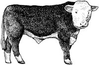 ABY50318.JPG