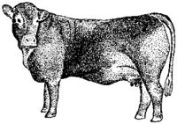 ABY50316.JPG