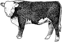 ABY50315.JPG