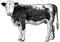 ABY50314.JPG