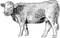 ABY50313.JPG