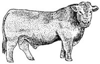 ABY50312.JPG