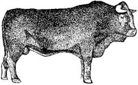 ABY50311.JPG