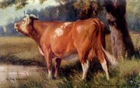 ABY50288.JPG