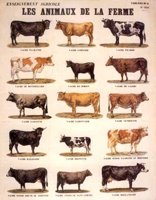 ABY50261.JPG