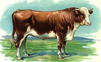 ABY50239.JPG