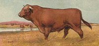 ABY50234.JPG