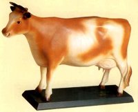 ABY50201.JPG