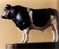 ABY50197.JPG