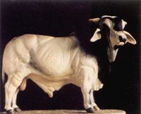 ABY50196.JPG
