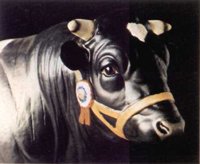 ABY50193.JPG