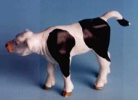 ABY50188.JPG