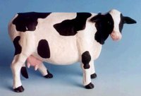 ABY50186.JPG