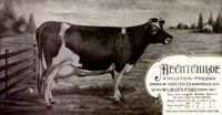 ABY50180.JPG