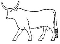 ABY50133.JPG
