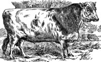 ABY50131.JPG