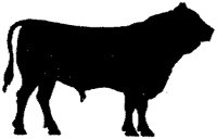 ABY50093.TIF