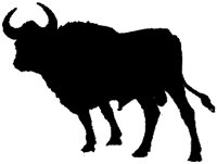 ABY50088.TIF