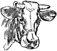 ABY50073.TIF