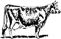 ABY50064.TIF