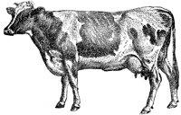 ABY50055.TIF