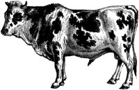 ABY50045.TIF