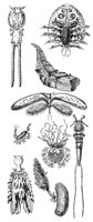 ACJ50015.JPG