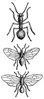 ACJ50010.JPG