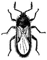 ACI50421.JPG