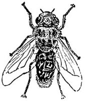 ACI50418.JPG