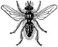 ACI50417.JPG