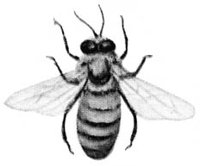 ACI50415.JPG