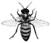 ACI50414.JPG