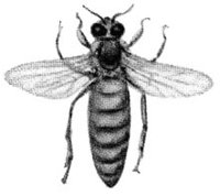ACI50413.JPG