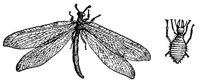 ACI50412.JPG