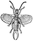 ACI50411.JPG