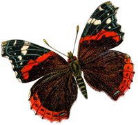 ACI50382.JPG