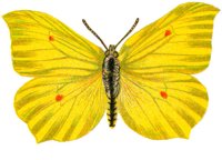 ACI50380.JPG