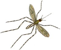 ACI50377.JPG