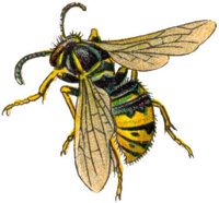 ACI50374.JPG