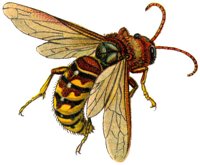 ACI50373.JPG