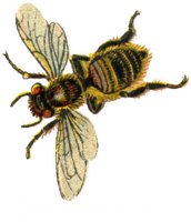 ACI50372.JPG