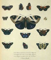 ACI50356.JPG