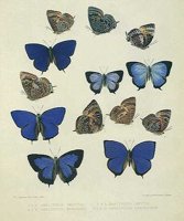 ACI50355.JPG