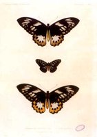 ACI50350.JPG