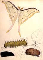 ACI50334.JPG