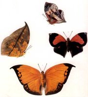 ACI50327.JPG