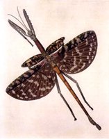 ACI50322.JPG