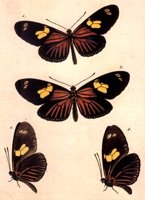 ACI50319.JPG