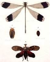 ACI50305.JPG